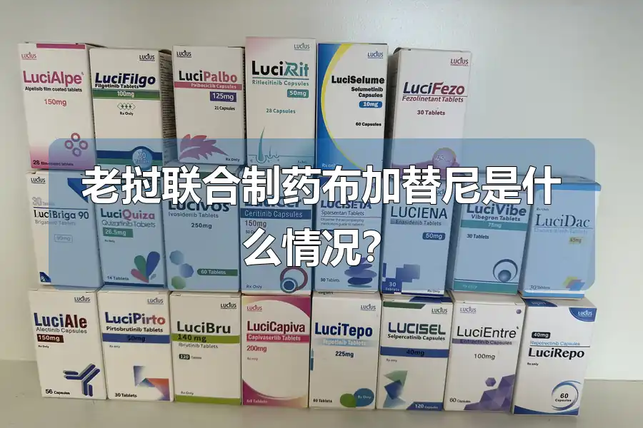 老挝联合制药布加替尼是什么情况？